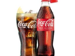 Coca-Cola Sabor Original botella 500ml. — Mamma leone