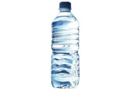 Agua (500 Ml.)